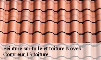 Peinture sur tuile et toiture  noves-13550 Couvreur 13 toiture