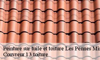 Peinture sur tuile et toiture  les-pennes-mirabeau-13170 Couvreur 13 toiture