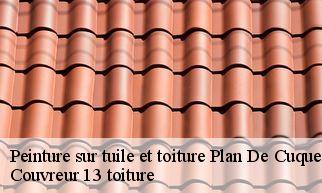 Peinture sur tuile et toiture  plan-de-cuques-13380 Couvreur 13 toiture