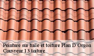 Peinture sur tuile et toiture  plan-d-orgon-13750 Couvreur 13 toiture