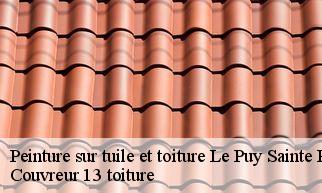 Peinture sur tuile et toiture  le-puy-sainte-reparade-13610 Couvreur 13 toiture