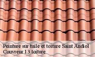 Peinture sur tuile et toiture  saint-andiol-13670 Couvreur 13 toiture