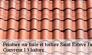 Peinture sur tuile et toiture saint-esteve-janson-13610 Couvreur 13 toiture