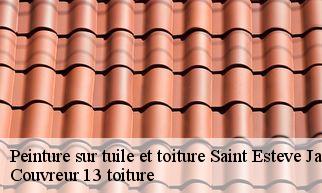 Peinture sur tuile et toiture  saint-esteve-janson-13610 Couvreur 13 toiture