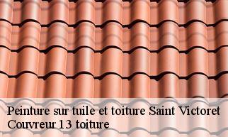 Peinture sur tuile et toiture  saint-victoret-13730 Couvreur 13 toiture