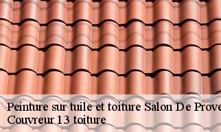 Peinture sur tuile et toiture  salon-de-provence-13300 Couvreur 13 toiture