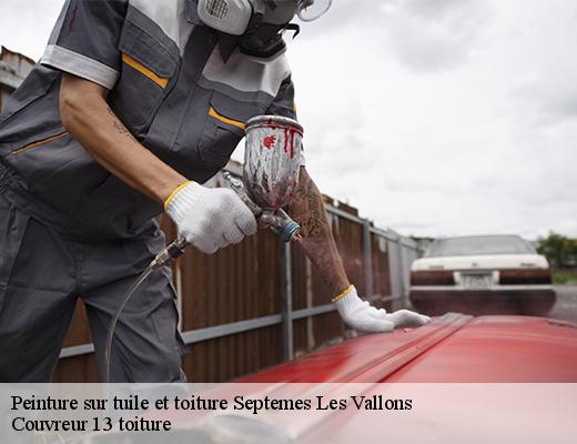Peinture sur tuile et toiture