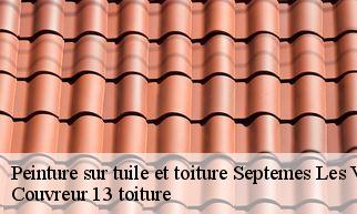 Peinture sur tuile et toiture  septemes-les-vallons-13240 Couvreur 13 toiture