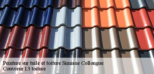 peinture-sur-tuile-et-toiture-4