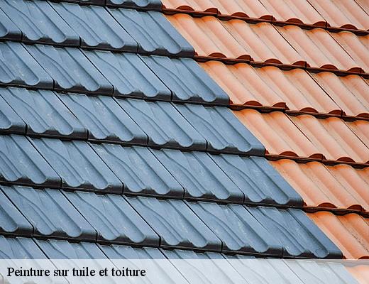 peinture-sur-tuile-et-toiture-6