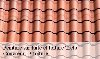 Peinture sur tuile et toiture trets-13530 Couvreur 13 toiture