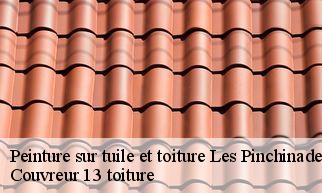 Peinture sur tuile et toiture les-pinchinades-13080 Couvreur 13 toiture