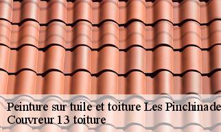 Peinture sur tuile et toiture  les-pinchinades-13080 Couvreur 13 toiture