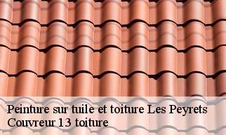 Peinture sur tuile et toiture  les-peyrets-13220 Couvreur 13 toiture