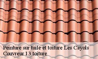 Peinture sur tuile et toiture les-cayols-13114 Couvreur 13 toiture