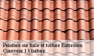 Peinture sur tuile et toiture entressen-13118 Couvreur 13 toiture