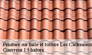 Peinture sur tuile et toiture  les-cadeneaux-13170 Couvreur 13 toiture