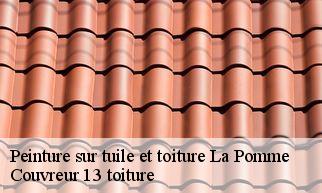 Peinture sur tuile et toiture  la-pomme-13720 Couvreur 13 toiture