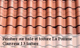 Peinture sur tuile et toiture la-pomme-13720 Couvreur 13 toiture