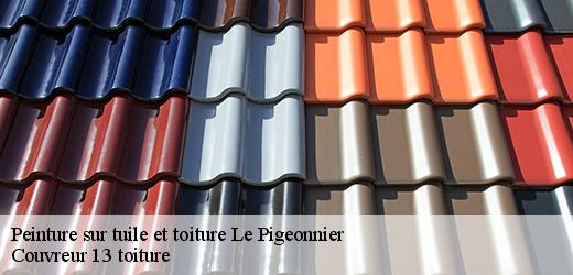 peinture-sur-tuile-et-toiture-4