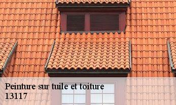 Peinture sur tuile et toiture  13117