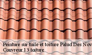 Peinture sur tuile et toiture  palud-des-noves-13550 Couvreur 13 toiture