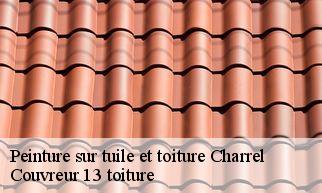 Peinture sur tuile et toiture charrel-13400 Couvreur 13 toiture