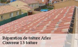 Réparation de toiture arles-13200 Couvreur 13 toiture