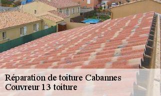 Réparation de toiture  cabannes-13440 Couvreur 13 toiture