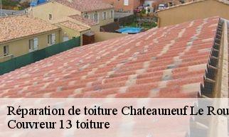 Réparation de toiture  chateauneuf-le-rouge-13790 Couvreur 13 toiture