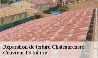 Réparation de toiture  chateaurenard-13160 Couvreur 13 toiture