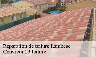 Réparation de toiture lambesc-13410 Couvreur 13 toiture