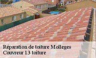 Réparation de toiture  molleges-13940 Couvreur 13 toiture