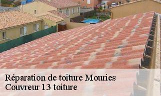 Réparation de toiture mouries-13890 Couvreur 13 toiture