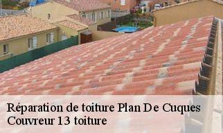 Réparation de toiture  plan-de-cuques-13380 Couvreur 13 toiture