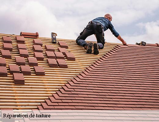 reparation-de-toiture-6
