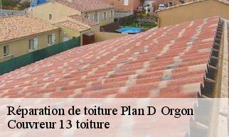 Réparation de toiture  plan-d-orgon-13750 Couvreur 13 toiture