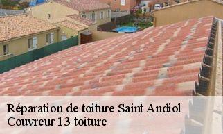 Réparation de toiture  saint-andiol-13670 Couvreur 13 toiture