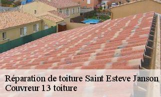 Réparation de toiture saint-esteve-janson-13610 Couvreur 13 toiture
