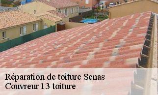 Réparation de toiture senas-13560 Couvreur 13 toiture