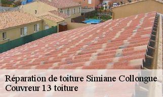 Réparation de toiture simiane-collongue-13109 Couvreur 13 toiture