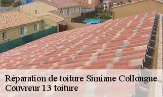 Réparation de toiture  simiane-collongue-13109 Couvreur 13 toiture