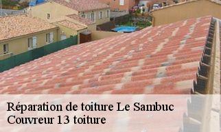 Réparation de toiture  le-sambuc-13200 Couvreur 13 toiture