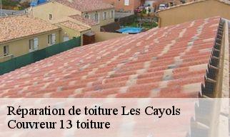 Réparation de toiture les-cayols-13114 Couvreur 13 toiture