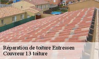 Réparation de toiture  entressen-13118 Couvreur 13 toiture