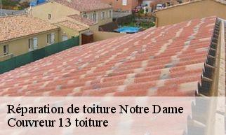Réparation de toiture notre-dame-13370