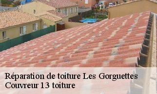Réparation de toiture les-gorguettes-13720 Couvreur 13 toiture