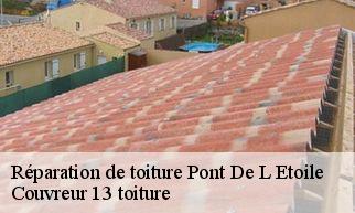 Réparation de toiture pont-de-l-etoile-13360 Couvreur 13 toiture