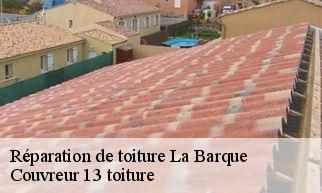 Réparation de toiture la-barque-13710 Couvreur 13 Toiture