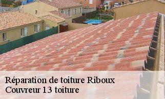 Réparation de toiture  riboux-13780 Couvreur 13 toiture